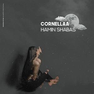 در انتظار تو  همین شباس