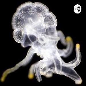 آلبوم دورها آوایی ست از آن دورها می‌آیم