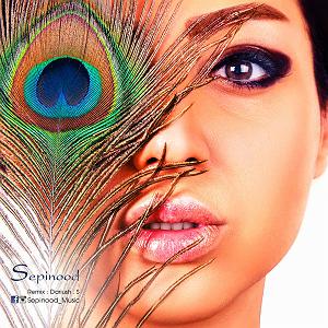 Habib  DonyaDonid Remix یه دنیا از تو ممنونم(remix)