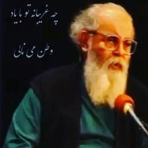 غزلی برای تو بشنوید سوز دل را از برای دوست : غریب است دلم در وطنم