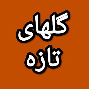 72 برنامه بستنی داغ  توقع در دنیای امروزی گلهای تازه برنامه شماره ۷۲