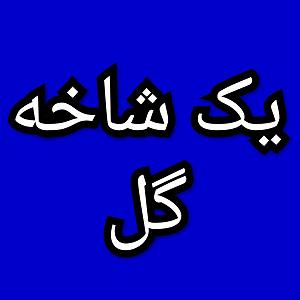 18 داستان یک وهابی  کاروان محرم یک شاخه گل برنامه شماره ۱۸  ب