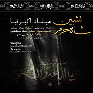 آلبوم دشت جنون شاه نشین حرم