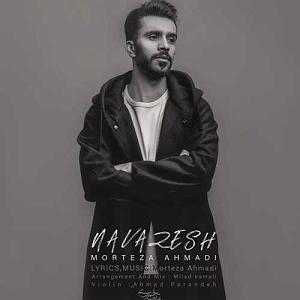 مرتضی احمدی نوازش