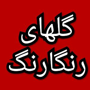 37 برنامه بستنی داغ  خشم ناگهانی گلهای رنگارنگ برنامه شماره ۳۷۳