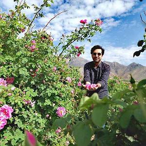 محمد معتمدی _ آرام من مژده باران