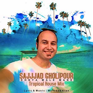 دنیا مال ماست  سعید داوری دنیا مال من(tropical mix)