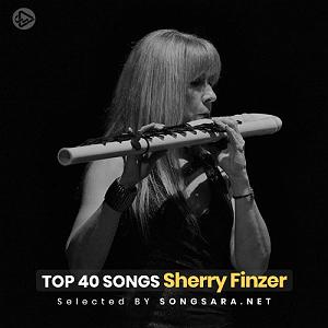 آلبوم ترکی “Büyü” اثری از “Erdinç Aksaç” البوم موسیقی نیو ایج strength  serenity: piano  flute اثری از greg mar...