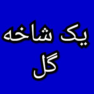 29 داستان یک وهابی  جهاد من یک شاخه گل برنامه شماره ۲۹