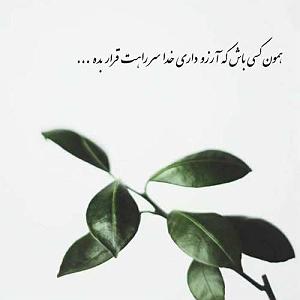 بویله سور سور زدی به گلا فابمی به مولا عشقمی به خدا