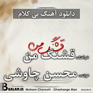 محسن چاوشی  صید جگر خسته قشنگ من