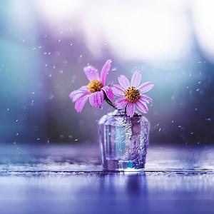 پادکست همه چی آرومه علی زکریا – یه شب از همه چی به خدا گله کرد