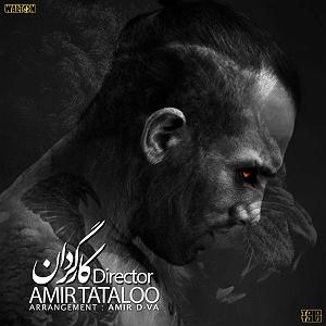 آلبوم حباب کارگردان