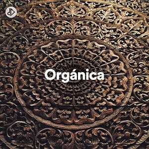 داستان خاراندن بی موقع Voodoo Guitar (Timboletti Remix)