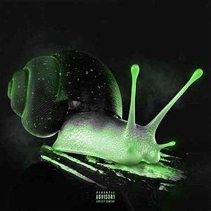 behzad leito after guitarmusic