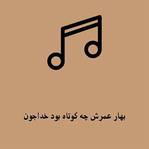 آلبوم شماره 2 صدای طهرون اثر زنده یاد (مرتضی احمدی) داداشی 2