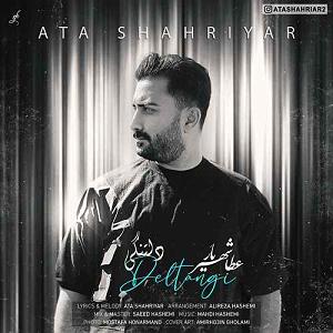 نیستی پیشم دلتنگی