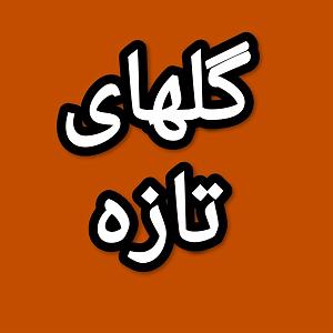 37 برنامه بستنی داغ  خشم ناگهانی گلهای تازه برنامه شماره ۱۳۳