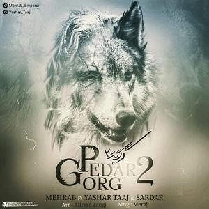 حواسم بهت هست گرگ پدر 2