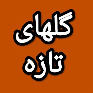 22 برنامه بستنی داغ  چرا دروغ؟ گلهای تازه برنامه شماره ۲۲