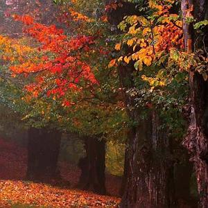 اهنگ فولکلور وساز دختر فراش باشی  دختر پاییز