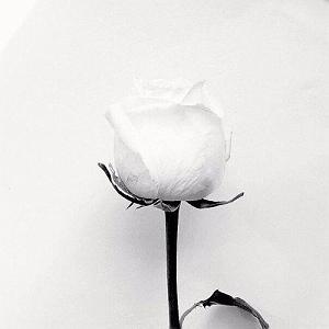 So Close, So Far طرد سو هارد و قوت سو فر