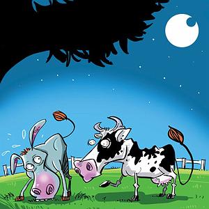 نمایشنامه چاه و الاغ  گاو و الاغ