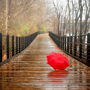 صدای باران آرام با باران