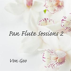 آلبوم موسیقی مناسب مطالعه  2 البوم موسیقی بی کلام pan flute sessions 2 پن فلوت ارامش بخش از von goo
