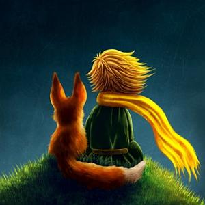 کتاب جادویی و دختر کوچولو فصل بیست و سوم کتاب زیبای شازده کوچولو