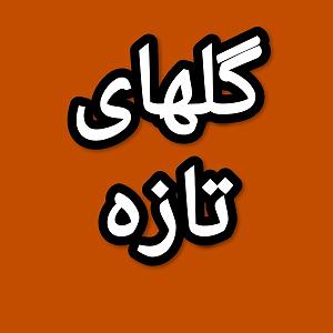 30 برنامه بستنی داغ  شادی های زود گذر گلهای تازه برنامه شماره ۳۰