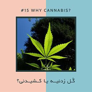 آجیل هندی شب عید EP15  آجیل  گل زدنیه یا کشیدنی؟