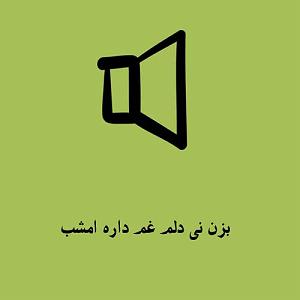 پیاله (19)؛ ای در دلم نشسته از تو کجا گریزم... دلم غم داره امشب