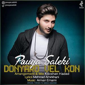 پویا سالکی دنیارو ول کن