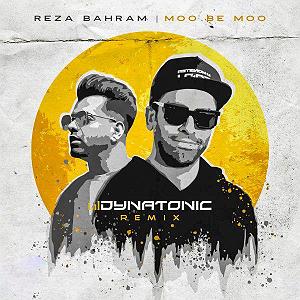 Be Hamin ZoodiDonid Remix moo be moo(remix)
