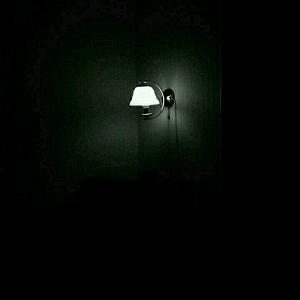 ایلیا منفرد گل ارکیده