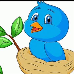 داستان خانم منفی نگر کچل گنجشک کوچولو و خورشید خانم