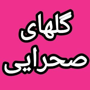 57 برنامه بستنی داغ  توکل در دنیای امروزی گلهای صحرایی برنامه شماره ۵۷