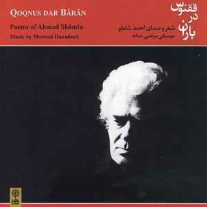 آندره تنه برگر هنوز در فکر آن کلاغ‌ام (هنوز در فکر آن کلاغ‌ام در دره)