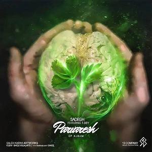 تی-دی صادق خالصانه