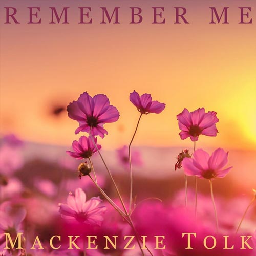 آلبوم Seasons از David Tolk مرا به خاطر بسپار ، پیانو آرامش بخش از دیوید تولک