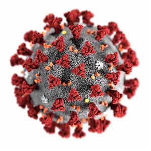 کرونا کرونا و بدنسازی بخش دوم (مدیریت زمان و وظایف)