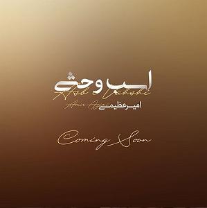 خواستگار وحشی اسب وحشی