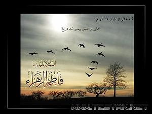 رضا یزدانی  تو خودم می سوزم بی تو می سوزم من غریبانه