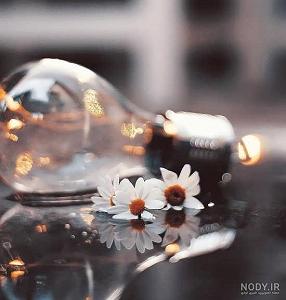 افغانی – ارام صدایم کردی بر دل امایم کردی افغانی