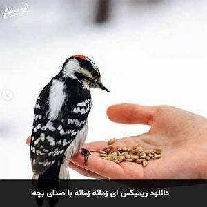 آلبوم مجنون زمانه ای زمانه زمانه با بچه