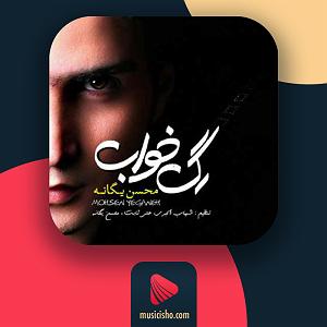 آلبوم رگ خواب رگ خواب