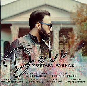 مصطفی پاشایی دلی