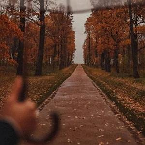 آلبوم باران تویی کلاغ