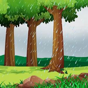 مونولوگ زیبای باران باران